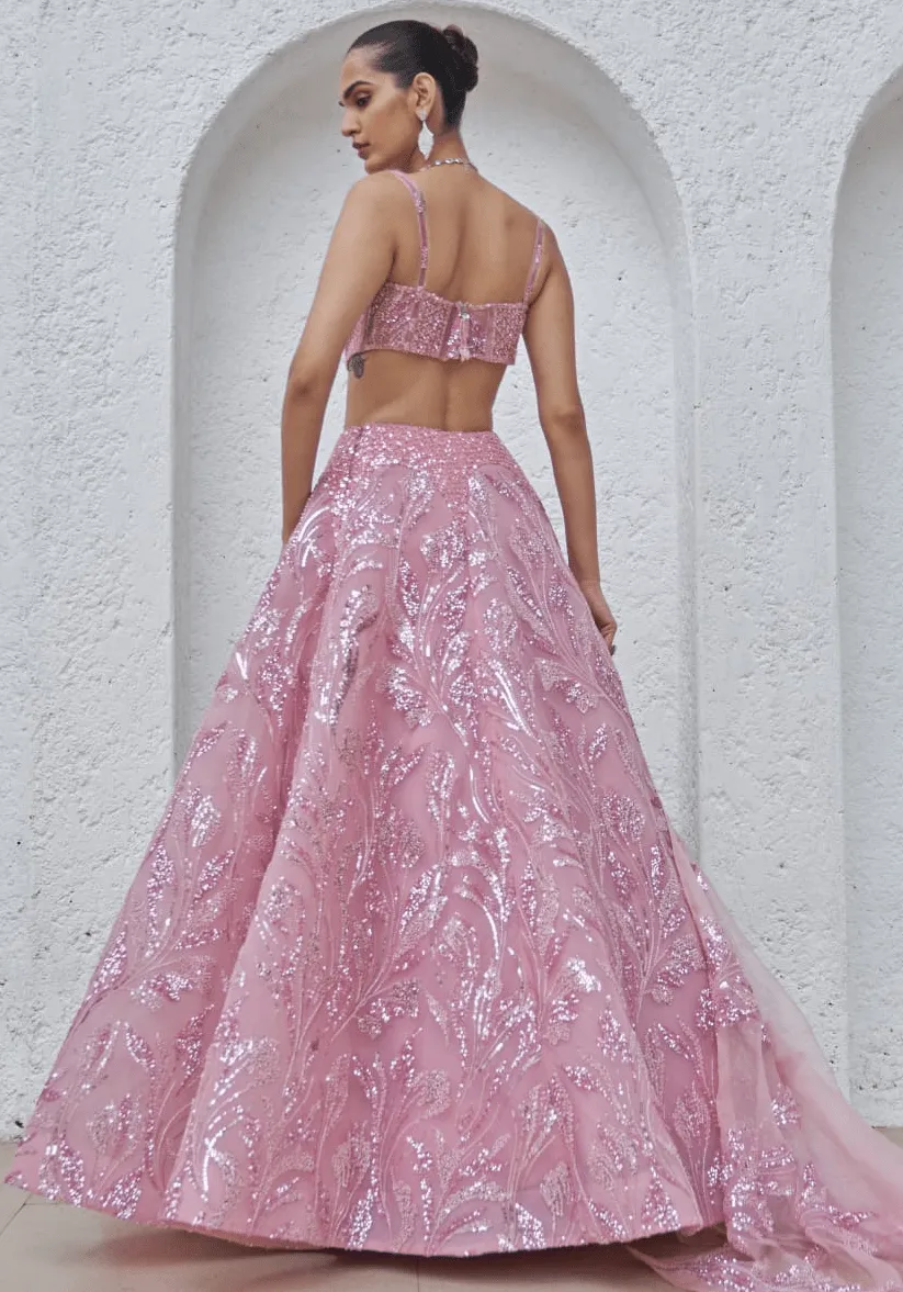 Blush Pink Embroidered Lehenga Set