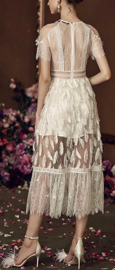 Leaf Embroidered Lace and Mesh Midi Dress