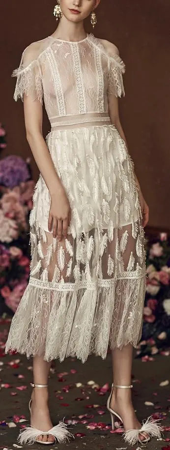 Leaf Embroidered Lace and Mesh Midi Dress