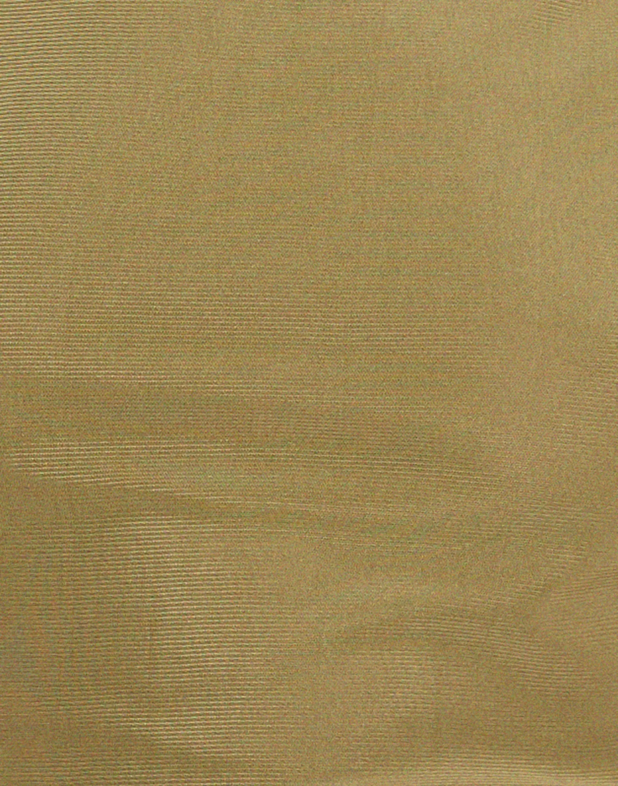 Mahira Long Sleeve Mesh Top in Olive