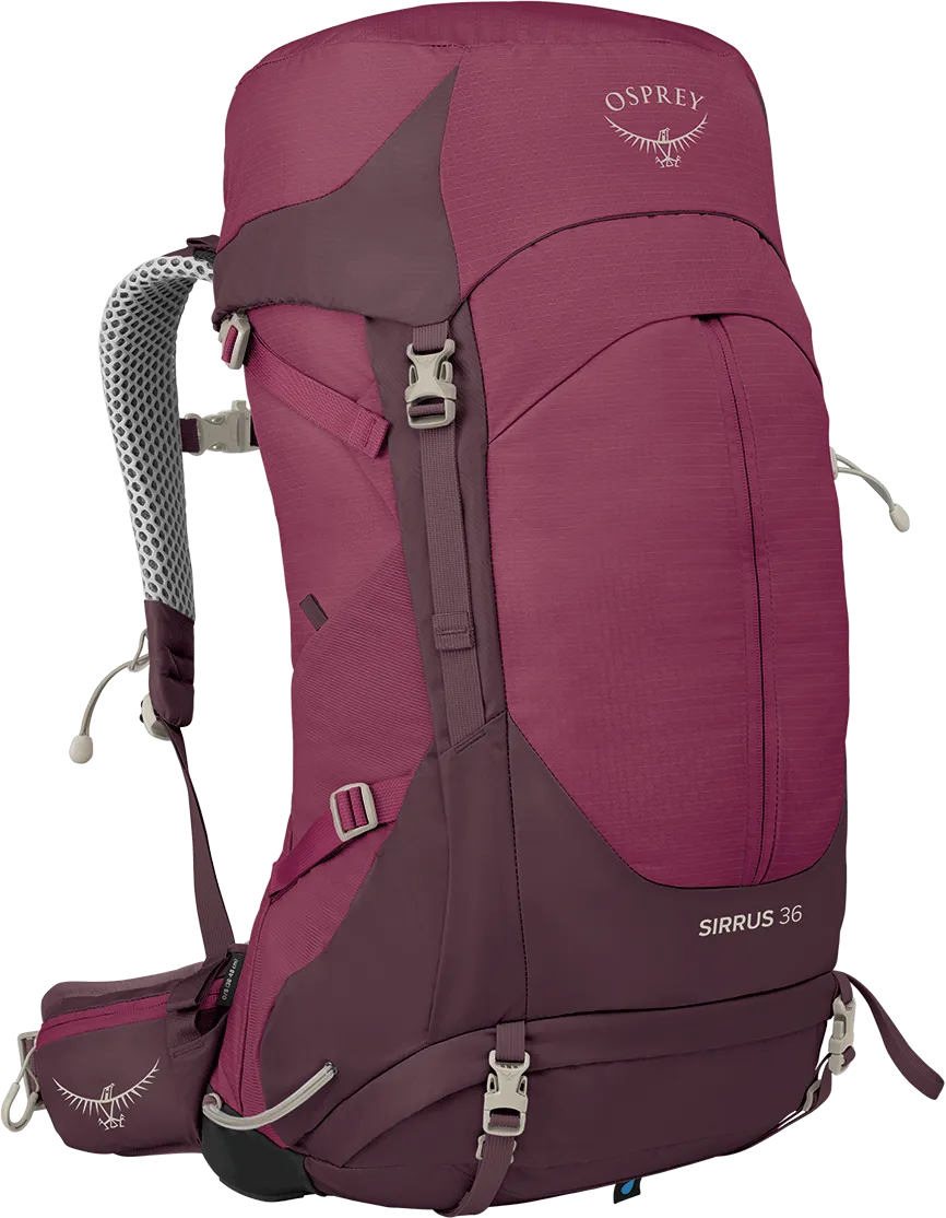 Sirrus 36 Pack - Womens